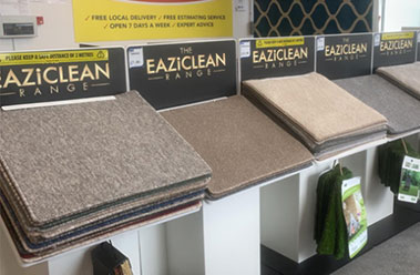 Eazi Clean carpet faqs