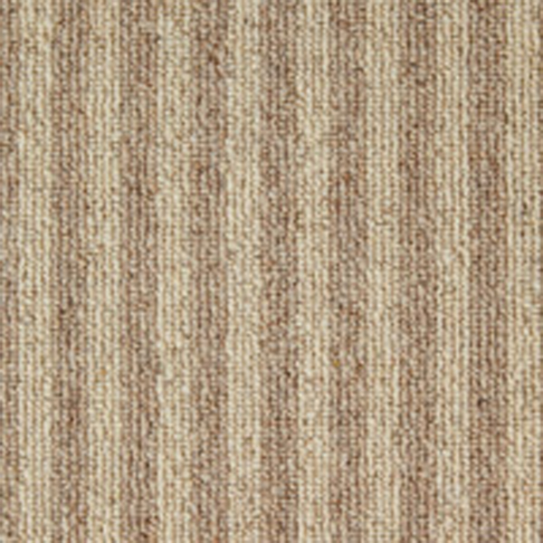 Book of Stripes Manuscript