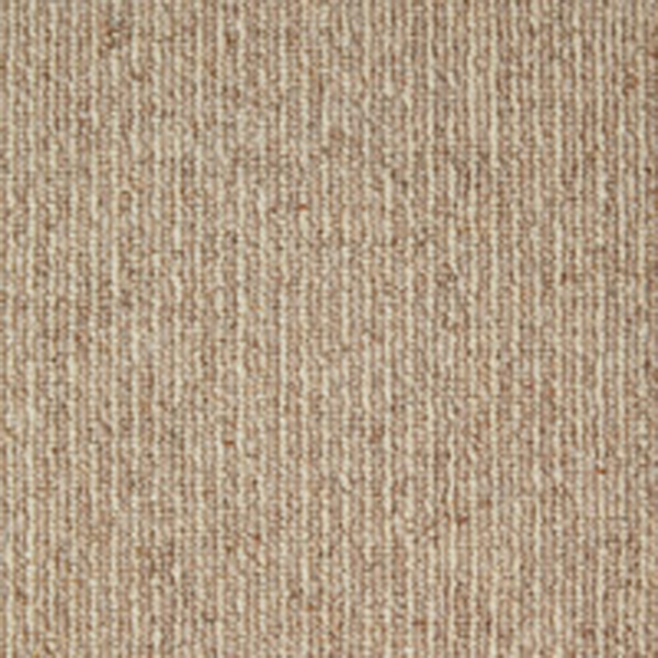 Book of Stripes Prologue