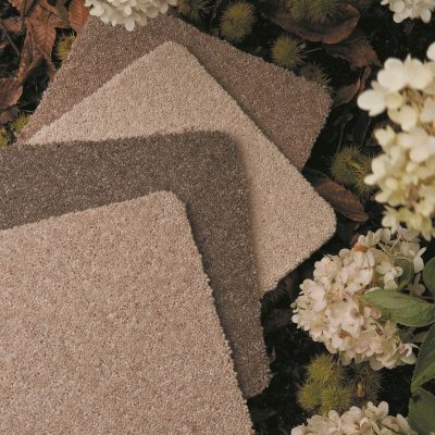 Natural Choice Plains