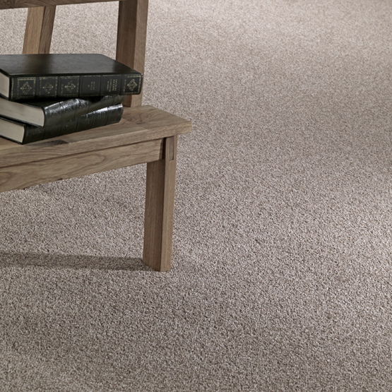 Stain-less Definition