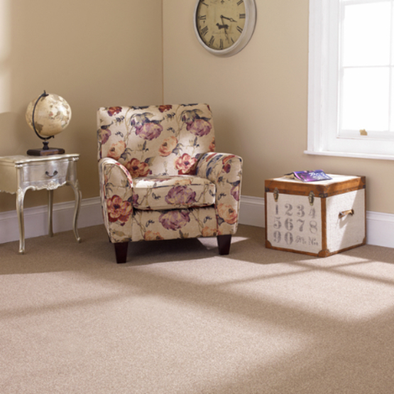 Stain-less Distinctions Regal