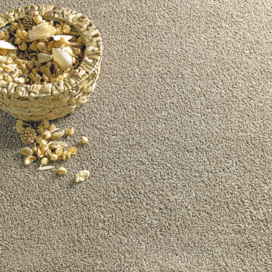 Stain-less Serenity Regal