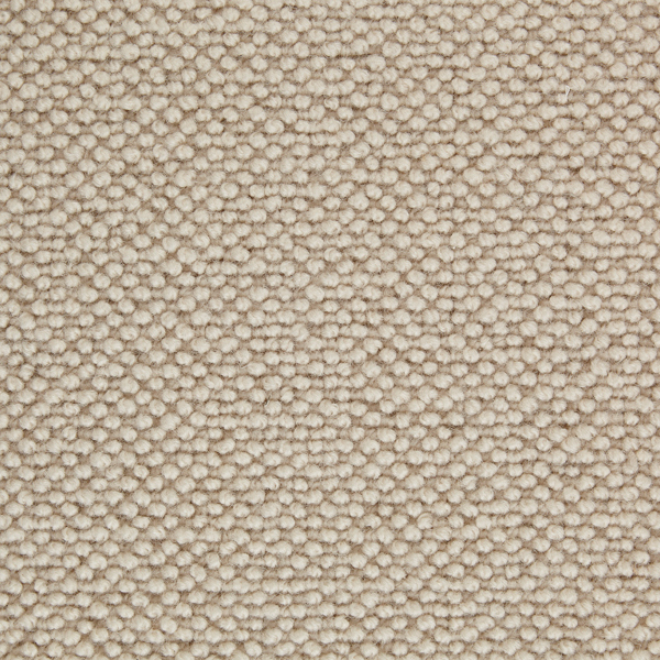 Stoddard Suffolk Berber