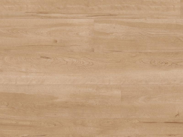 Van Gogh VGW84T Birch