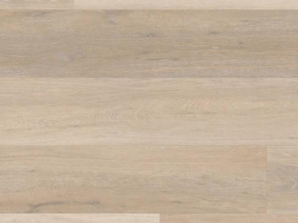 Korlok RKP8105 Texas White Ash