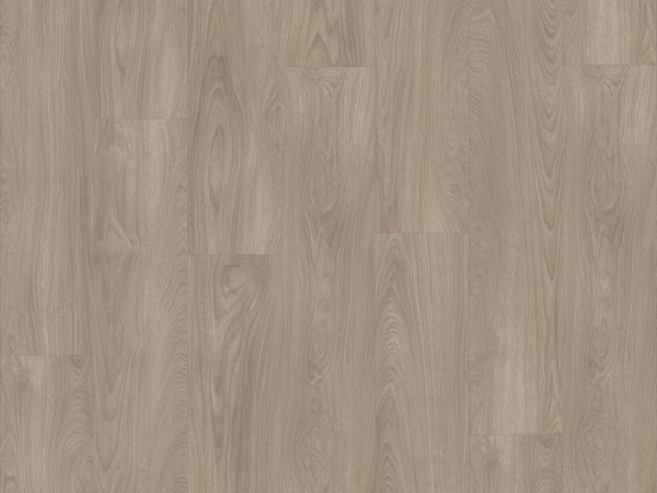 Impress Laurel Oak 51937