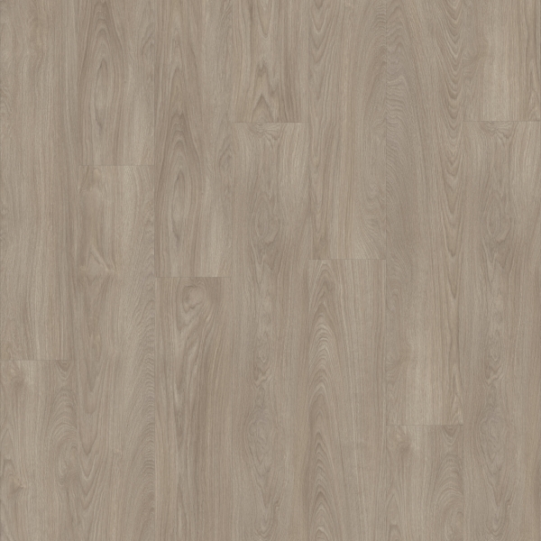 Impress Laurel Oak 51937