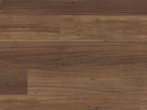 Van Gogh VGW87T Walnut