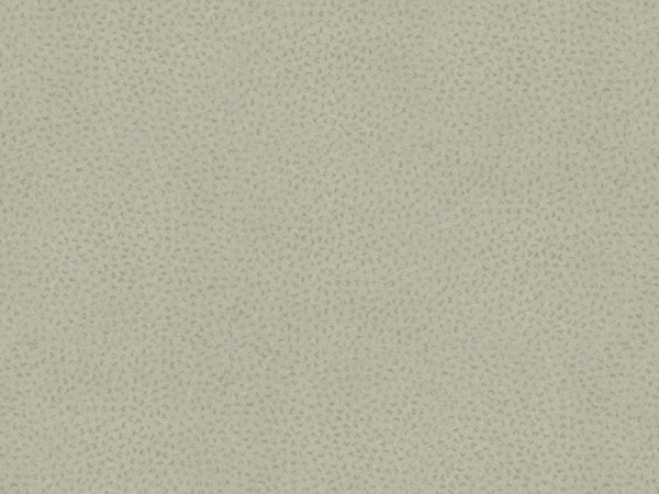 Michelangelo MLC07 Comet