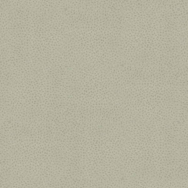 Michelangelo MLC07 Comet