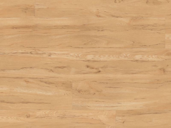 Van Gogh VGW50T Macrocapra