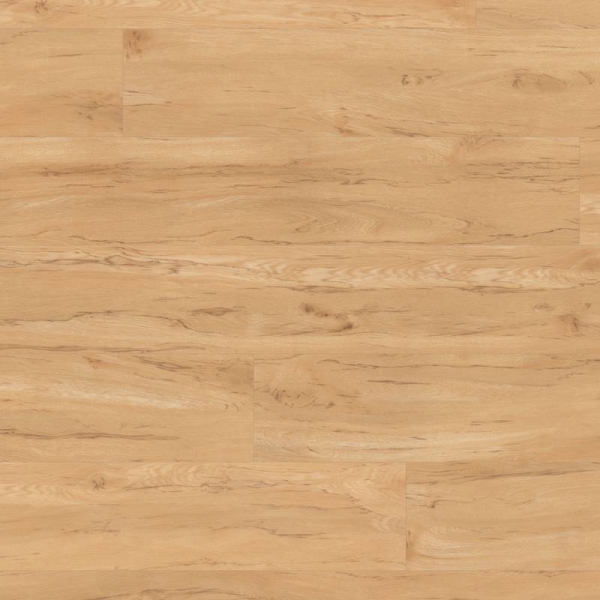 Van Gogh VGW50T Macrocapra