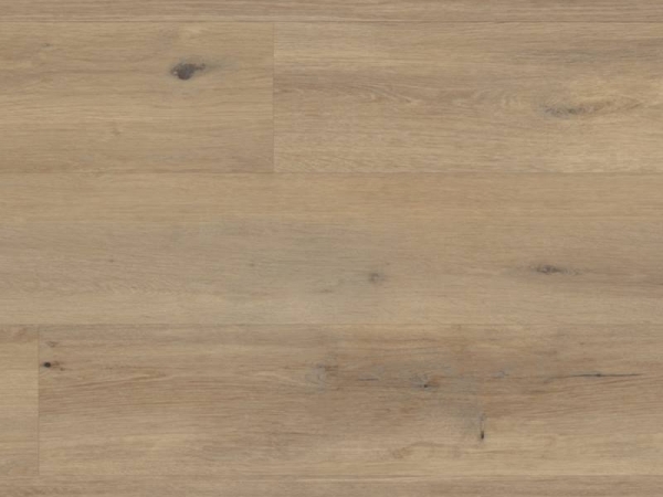 Korlok RKP8116 Canadian Urban Oak