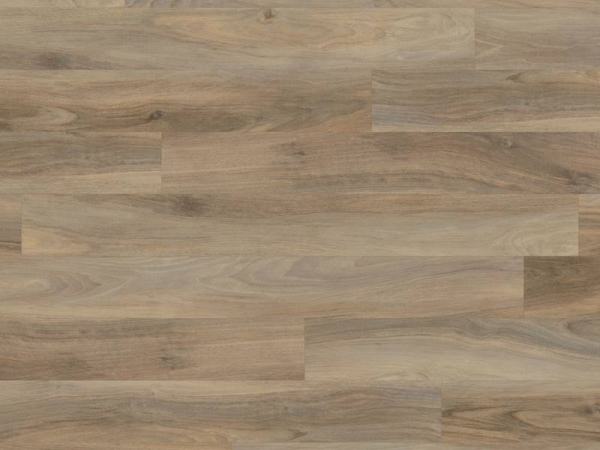 Opus REN113 Weathered Elm