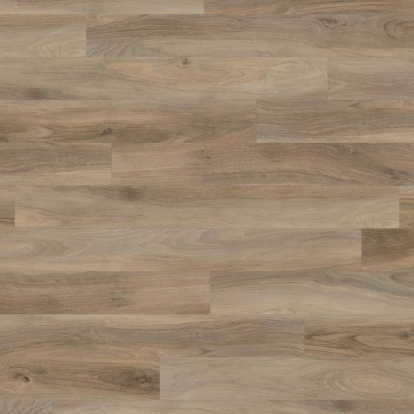 Opus REN113 Weathered Elm