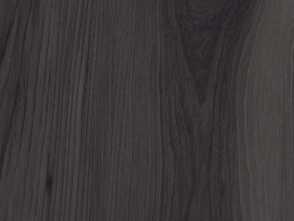 Spacia Inked Cedar SS5W2552