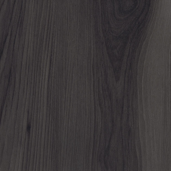 Spacia Inked Cedar SS5W2552