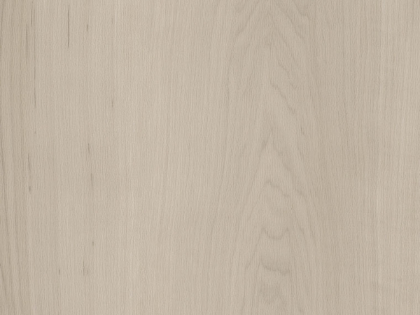 Spacia White Maple SS5W2654