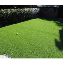 Artificial Grass