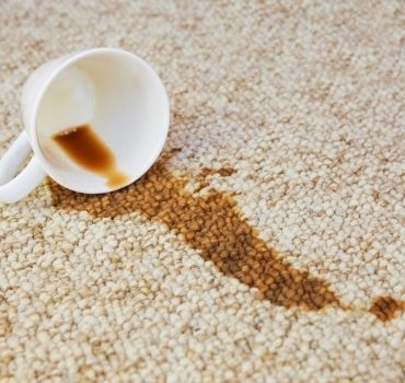 5 Reasons your next carpets should be Eazi Clean