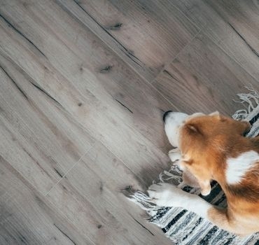 Hard flooring or carpet - what's right for you?