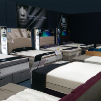 Sealy Premier Stockist