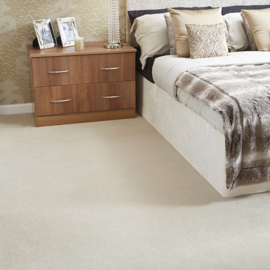 Stainfree Arena Plus