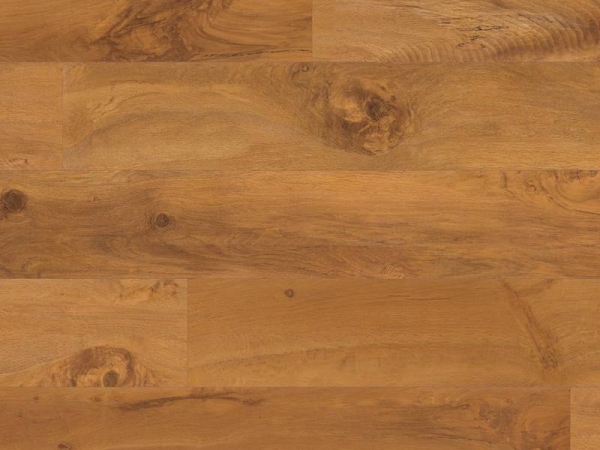 Van Gogh VGW53T Wellington Oak