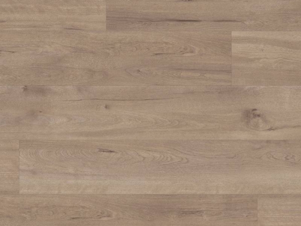 Van Gogh VGW83T Frosted Birch