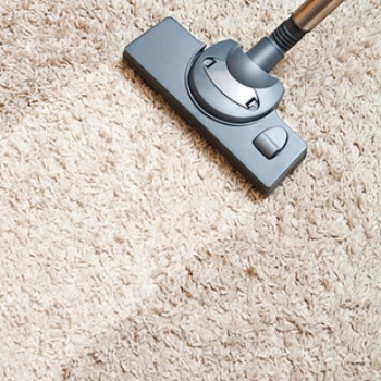 Top tips for expert carpet care