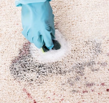 Avoid committing these common carpet care crimes