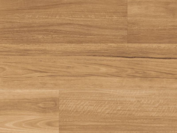 LooseLay Longboard LLP317 Lemon Spotted Gum