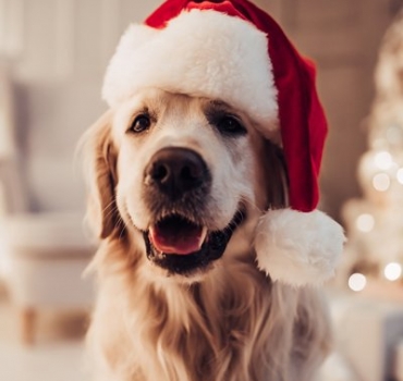 3 Last minute tips for Christmas