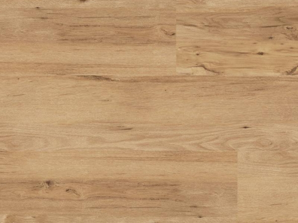 LooseLay LLP113 Cambridge