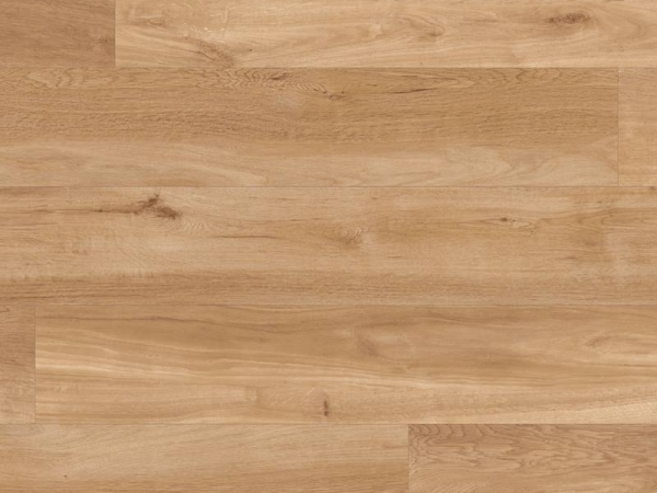 Van Gogh VGW85T French Oak
