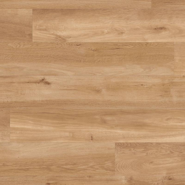 Van Gogh VGW85T French Oak