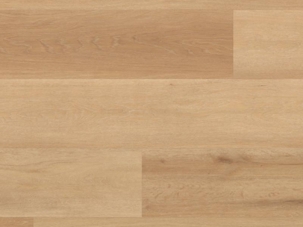 Korlok RKP8103 Warm Ash