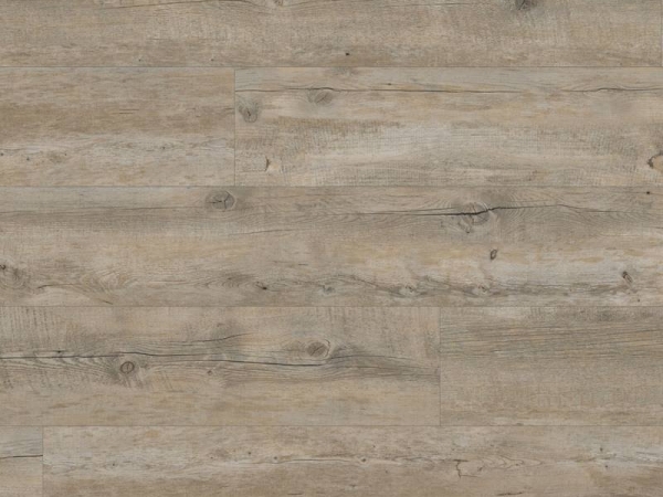 Van Gogh VGW82T Distressed Oak