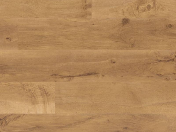 Van Gogh VGW52T Auckland Oak