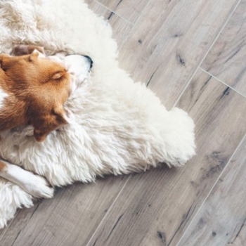 Is Karndean flooring the best choice for your home?