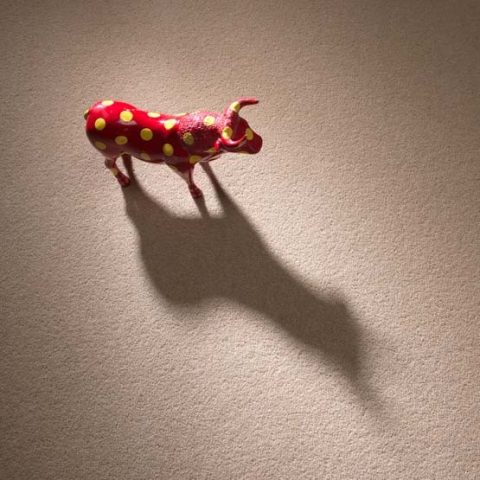 Liberty Twist