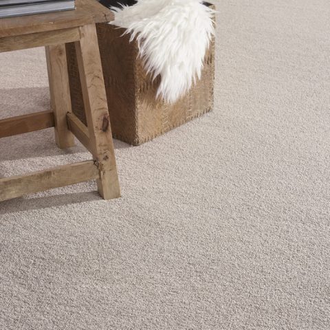 Pashmina