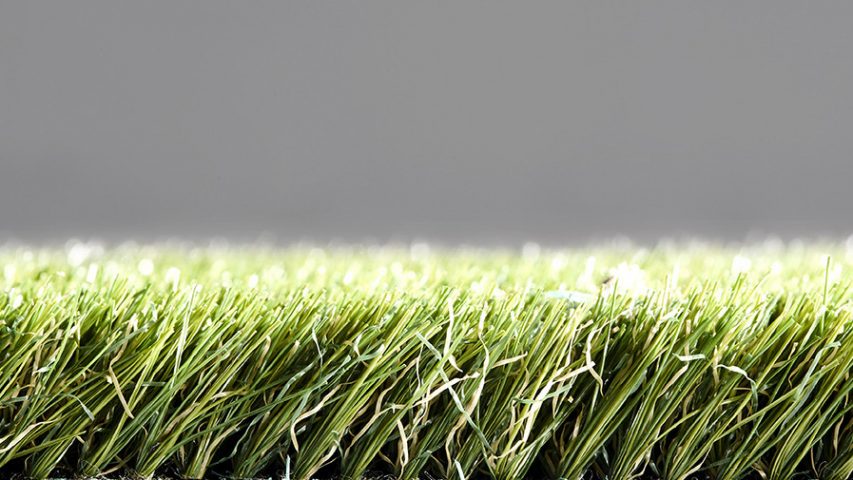 Pro Lawn