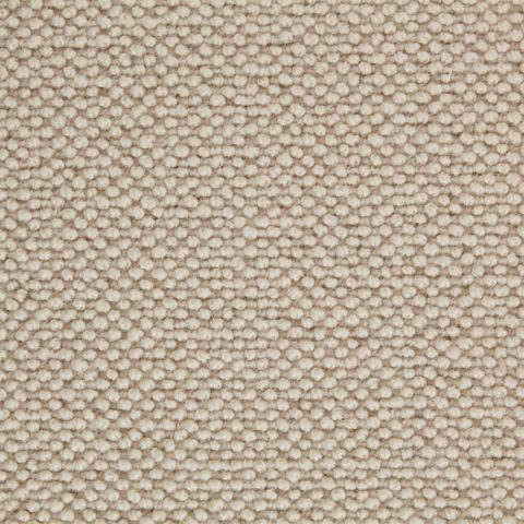 Stoddard Suffolk Berber
